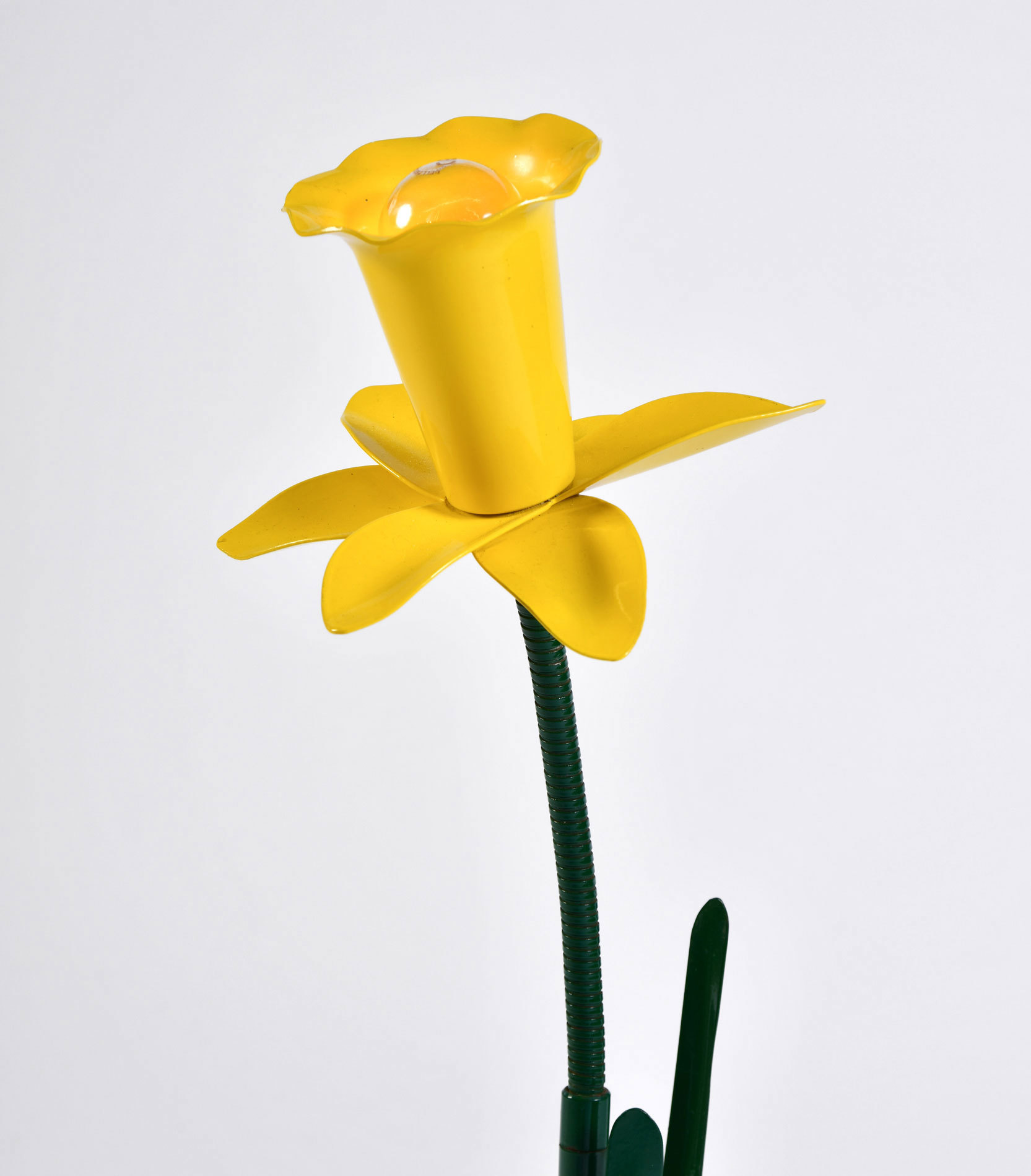 The image for Peter Bliss Daffodil 2 – 03