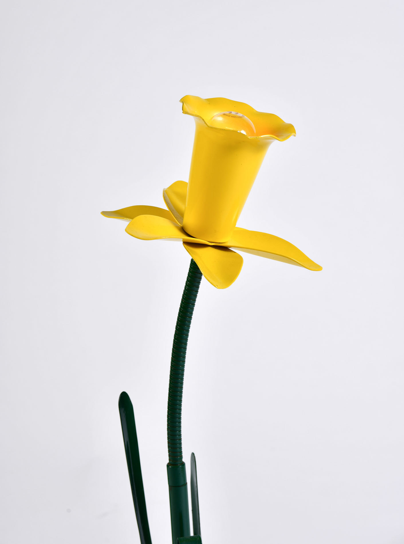 The image for Peter Bliss Daffodil 2 – 04