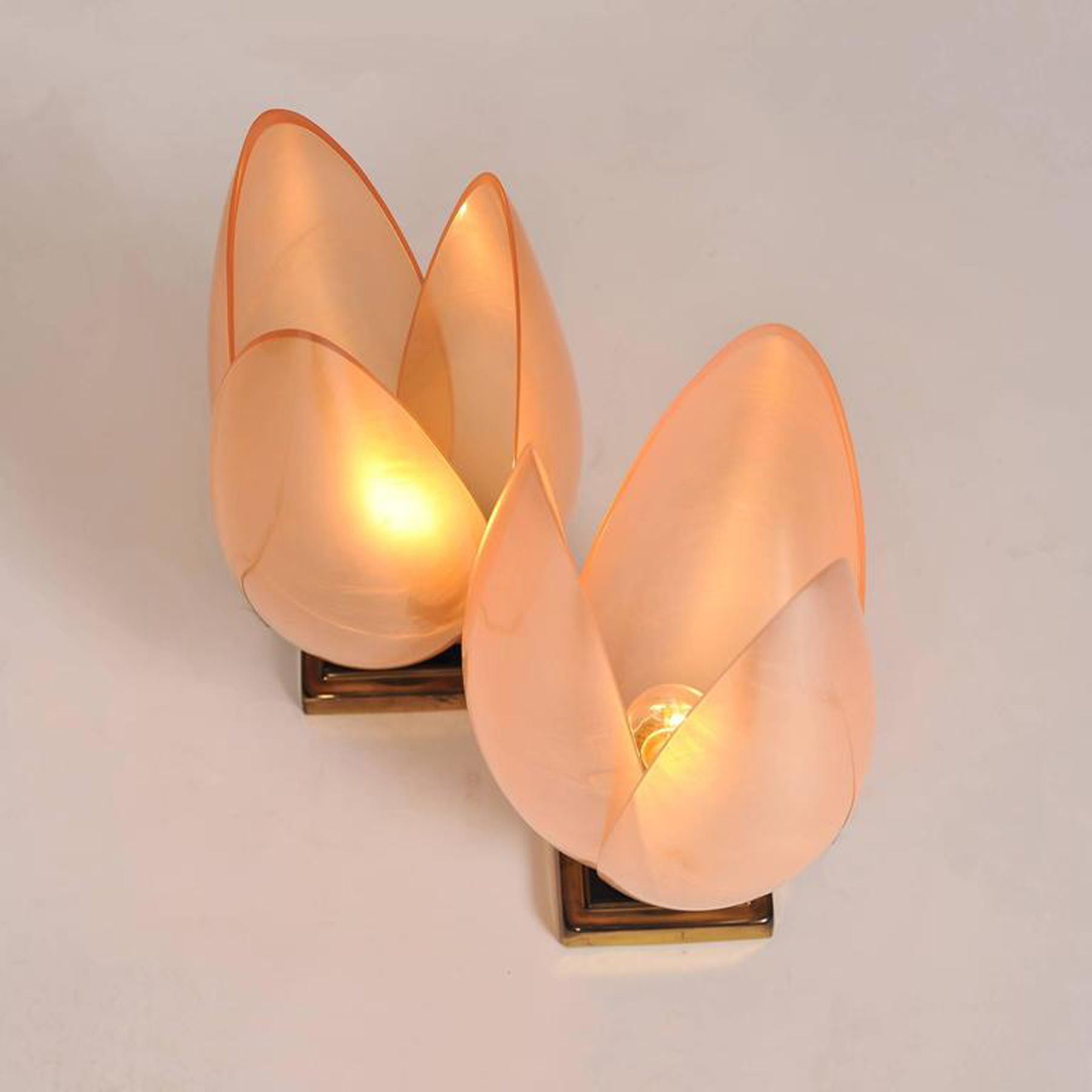 Pink Lotus Lamps L