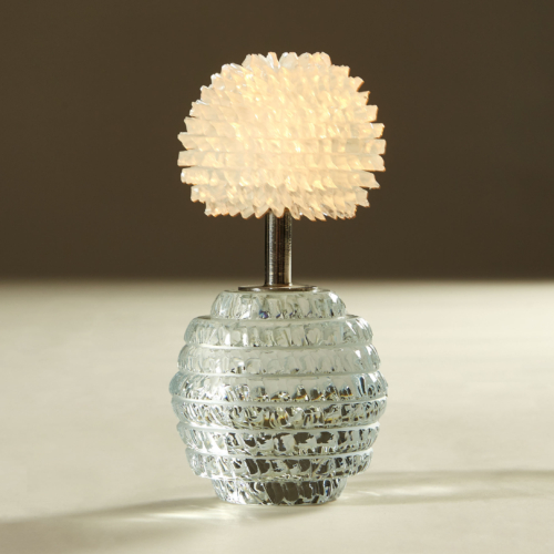 Dandelion Lamps 20210225 Valerie Wade 3 090 V1