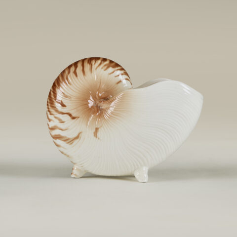 Seashell Cornicopia Valerie Wade 22 106 V1