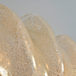 The image for Murano Clam Shell Wall Lights 04