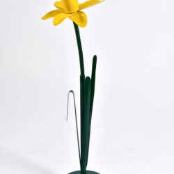 The image for Peter Bliss Daffodil 2 – 02