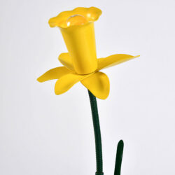 The image for Peter Bliss Daffodil 2 – 03