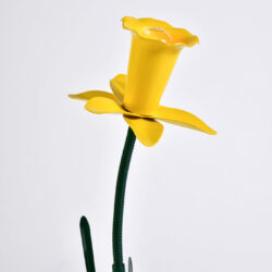 The image for Peter Bliss Daffodil 2 – 04