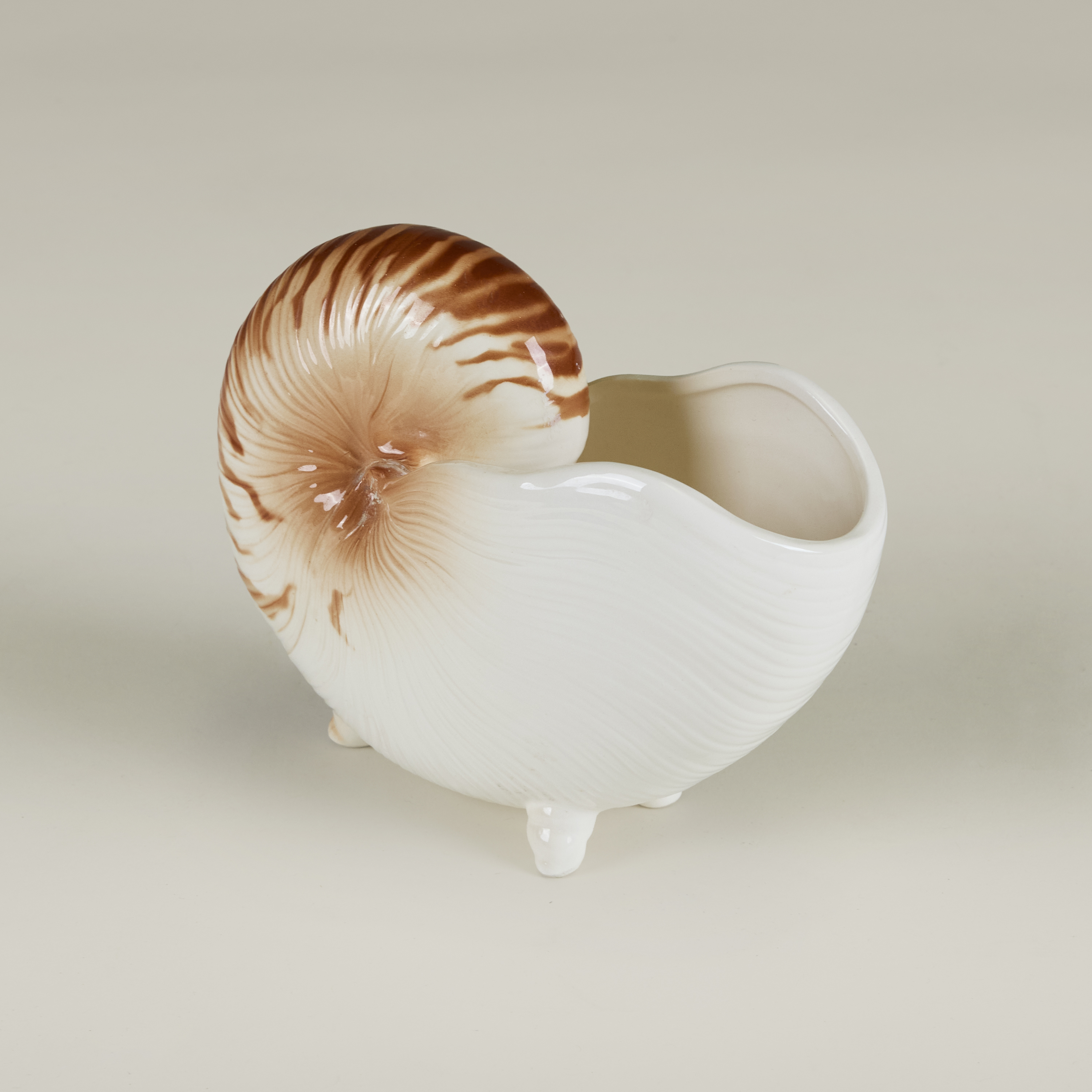 Seashell Cornicopia Valerie Wade 22 107 V1
