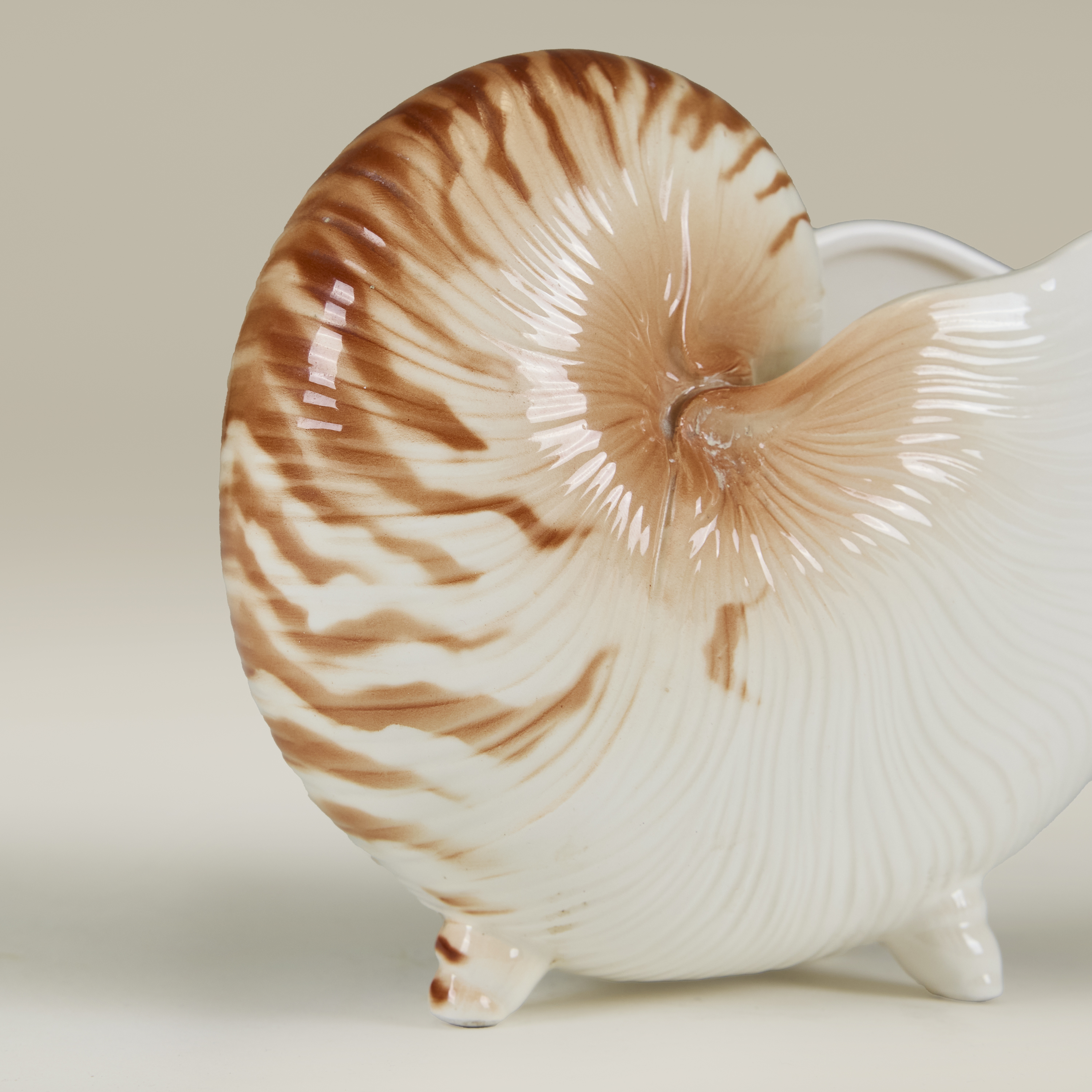 Seashell Cornicopia Valerie Wade 22 108 V1