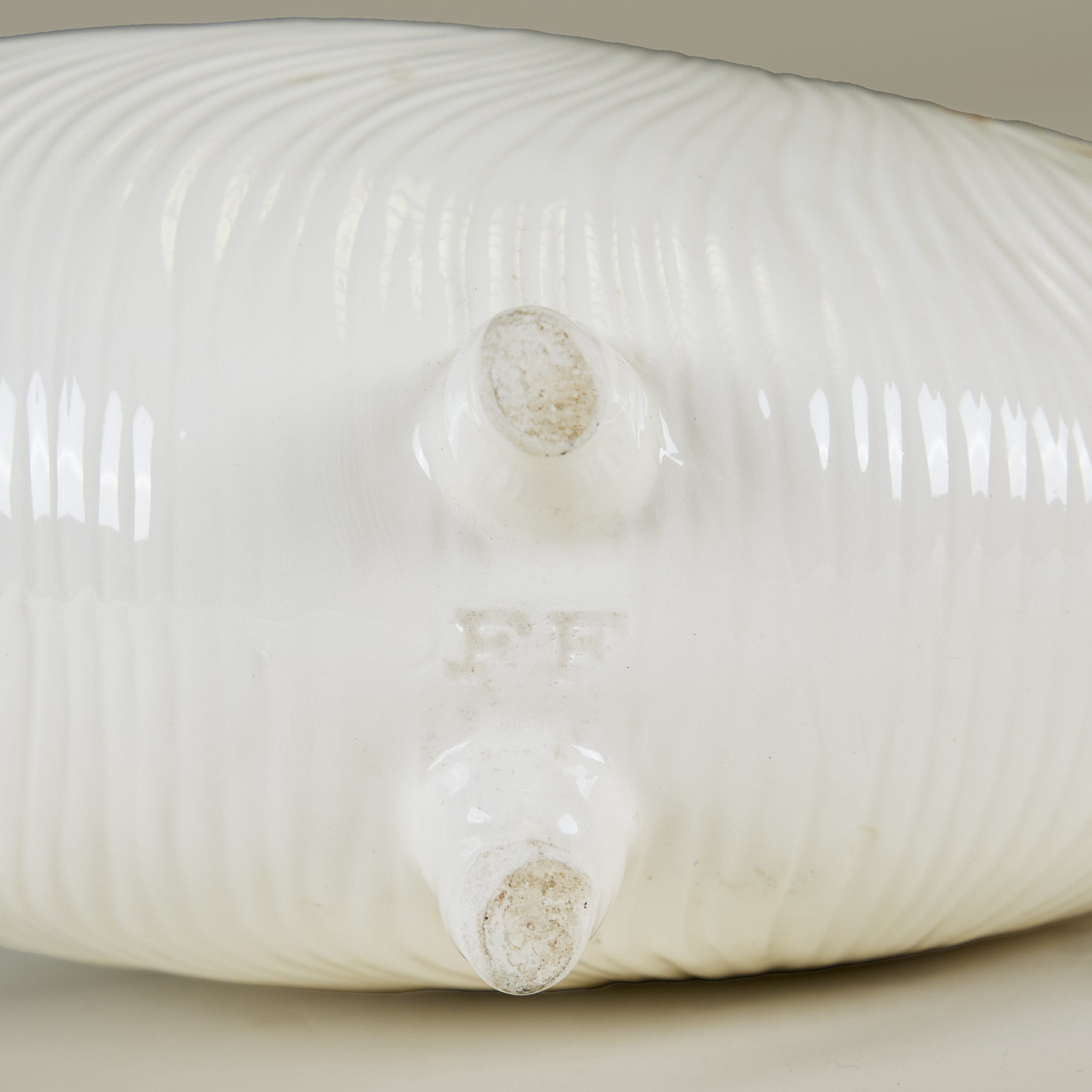 Seashell Cornicopia Valerie Wade 22 109 V1