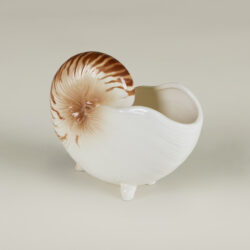 The image for Seashell Cornicopia Valerie Wade 22 107 V1