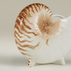 The image for Seashell Cornicopia Valerie Wade 22 108 V1