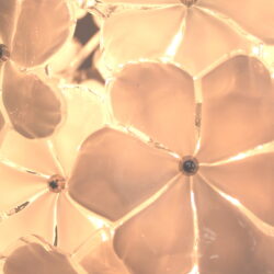 The image for White Globe Flowers Detail 2